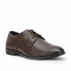 Comfort Design Professional Match Fortune (Brown) Formal Lace Up Derby Shoes For Men HOL-109 By Liberty