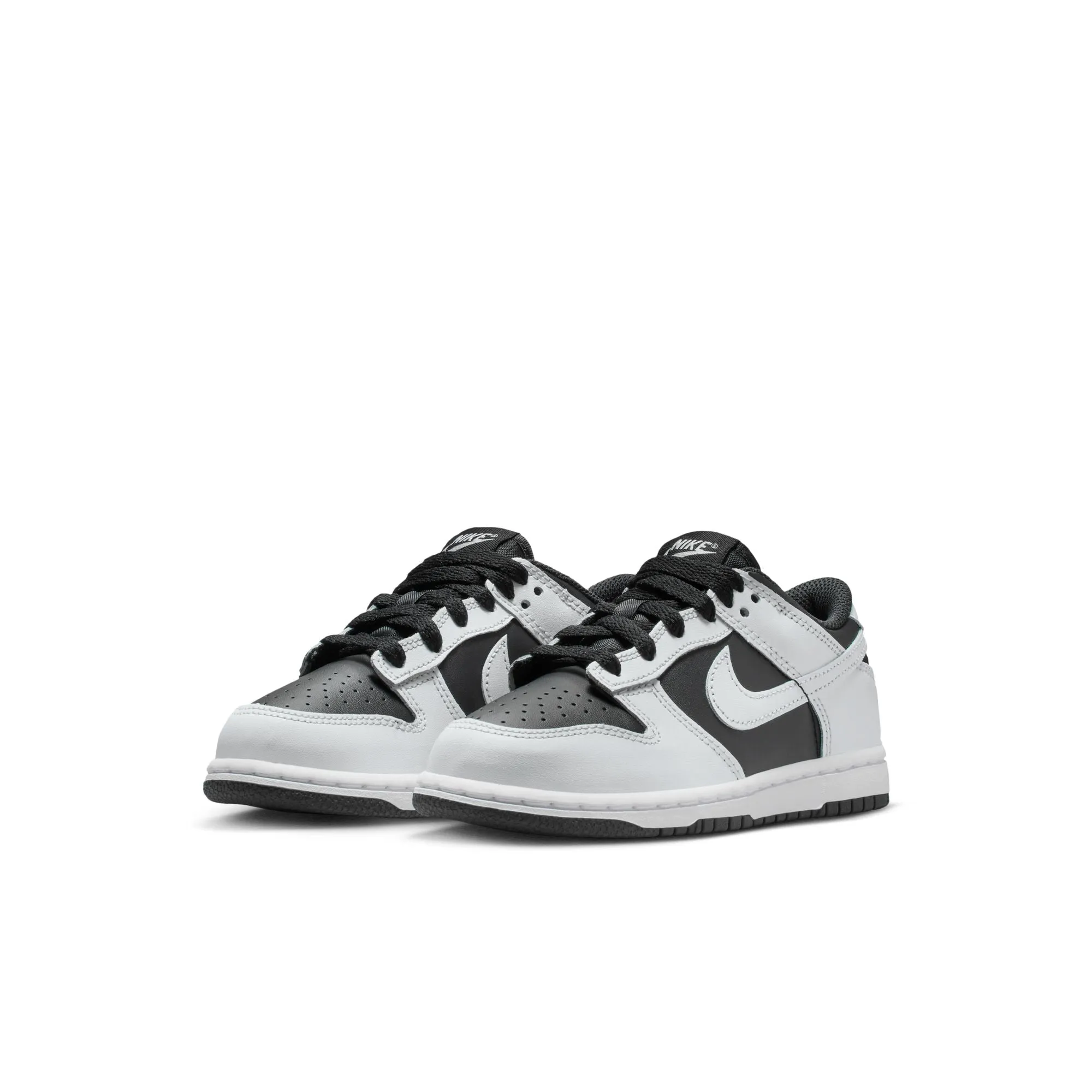 Fall Travel Nike Dunk Low (PSE)