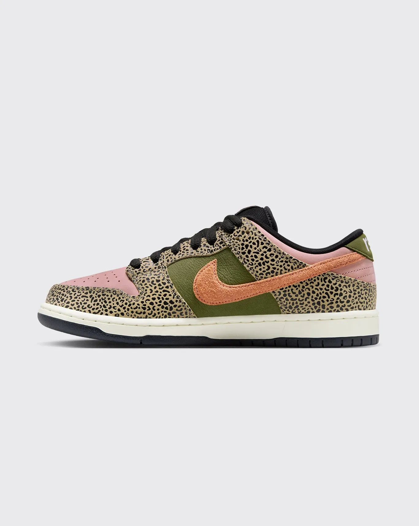 Nike SB Arts-Rec QS Dunk Low Pro Shoe Gym Street Stylish Go