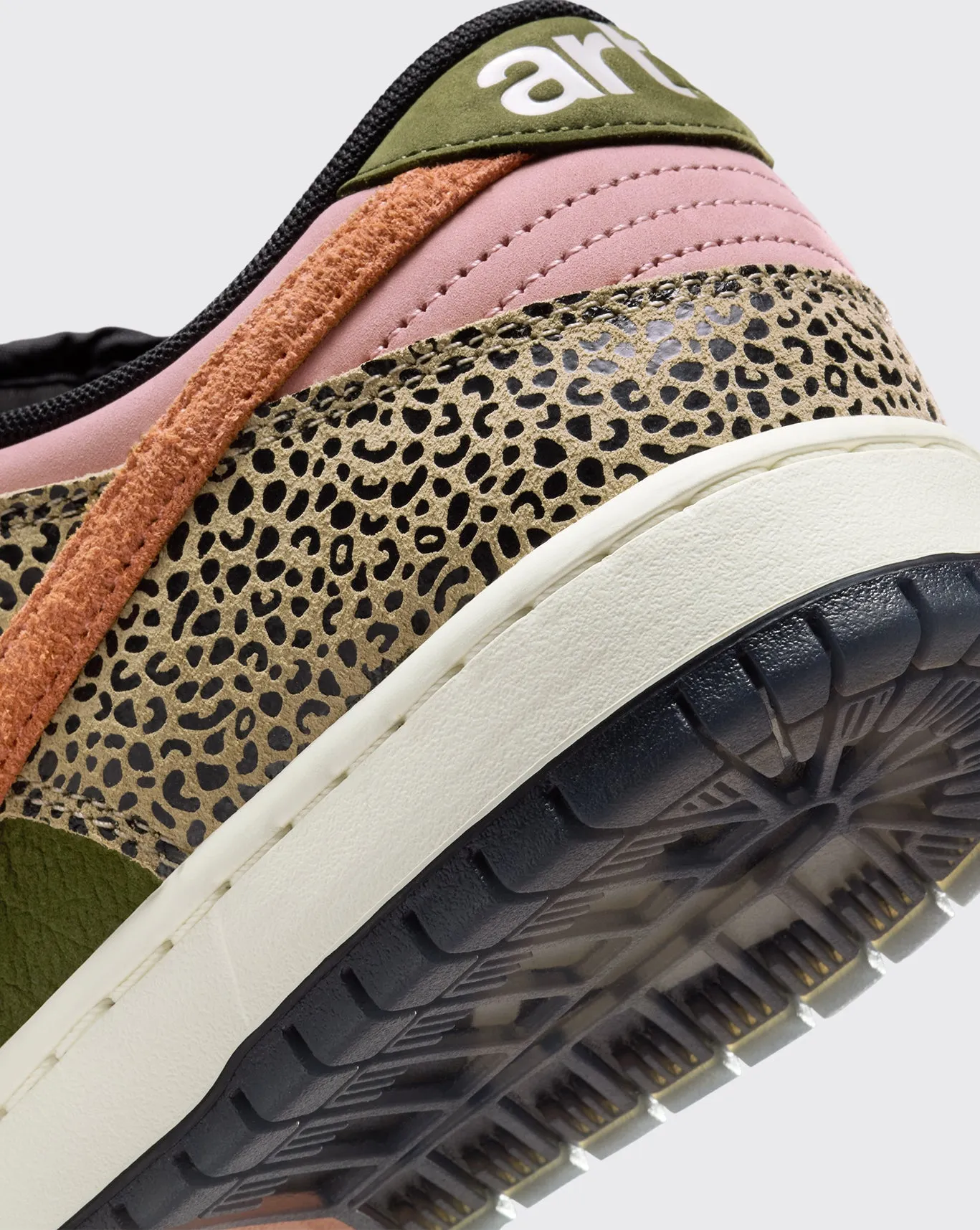 Nike SB Arts-Rec QS Dunk Low Pro Shoe Run Meet