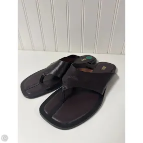 Busy Life Sandals Flip Flops By Zara In Bronze, Size: 5.5