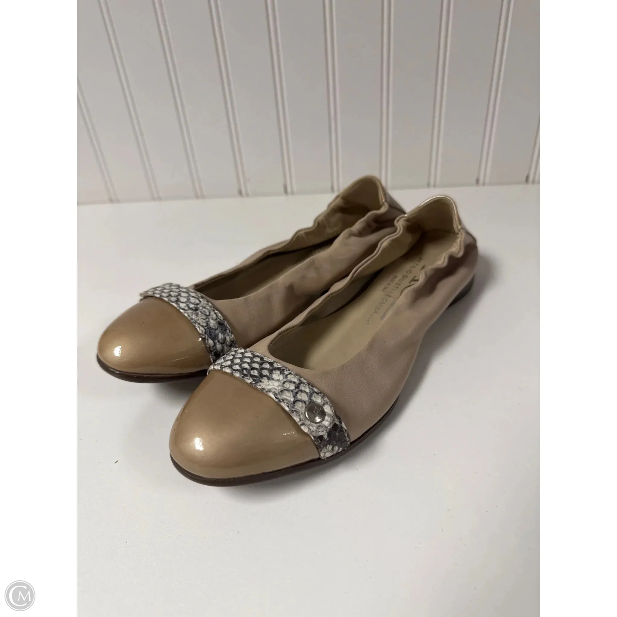 Shoes Flats By Agl In Taupe, Size: 6.5 EVA sole