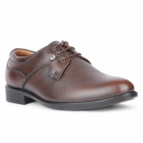 Healers Formal Brown Lacing Derby Shoes For Men S201-05 By Liberty All Fit Classic Lace Up