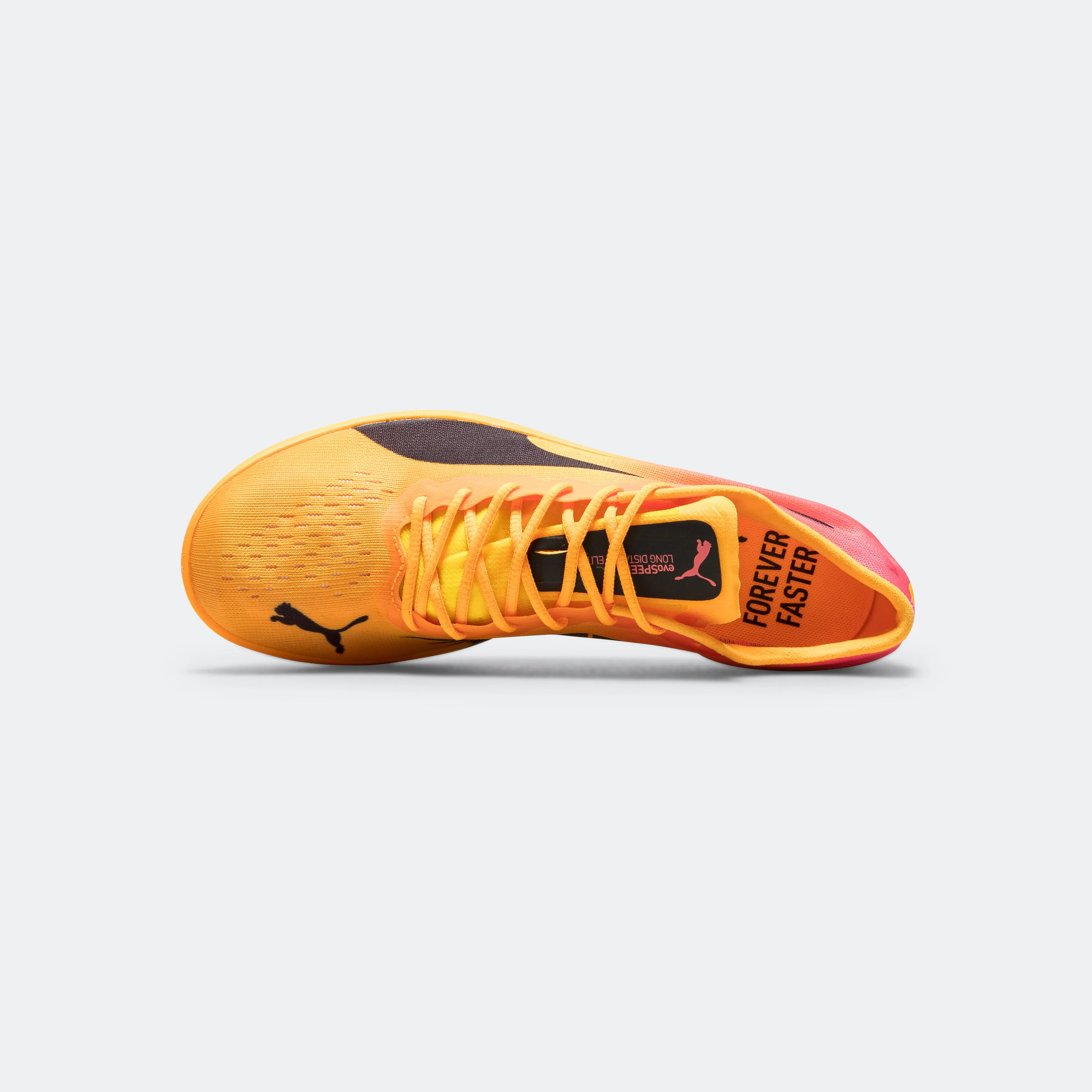 Creek Walk evoSPEED Long Distance NITRO Elite 2 - Sun Stream/Sunset Glow