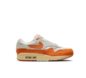 WOMEN'S NIKE AIR MAX 1 Lake Trek