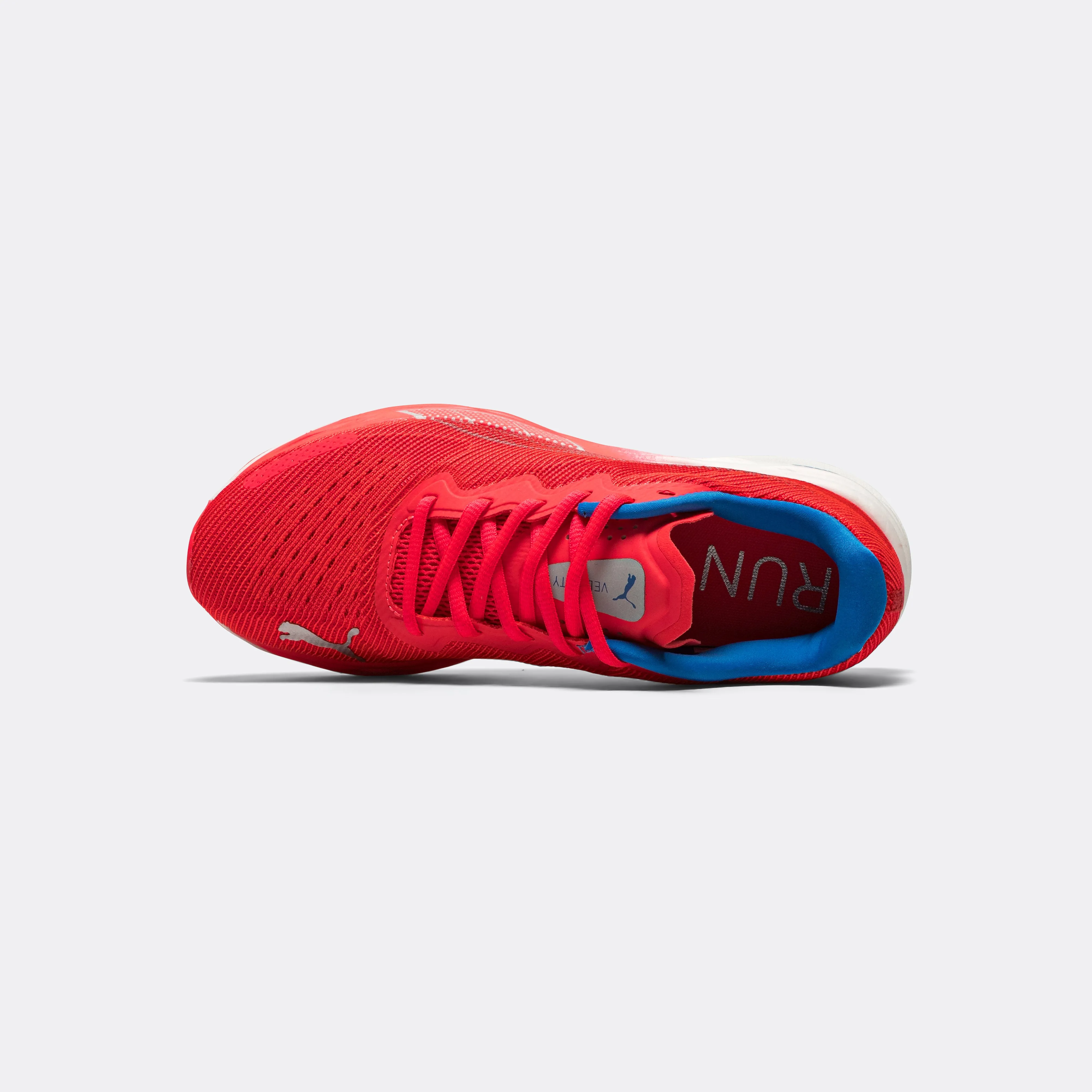 Womens Velocity Nitro 2 - Fire Orchid Market Day Regular Fit